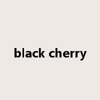 black cherry是什么意思