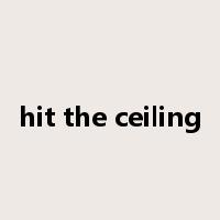 hit the ceiling是什么意思