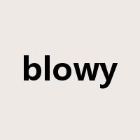 blowy是什么意思