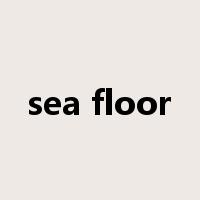 sea floor是什么意思