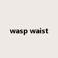 wasp waist是什么意思