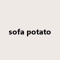 sofa potato是什么意思