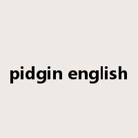 pidgin english是什么意思