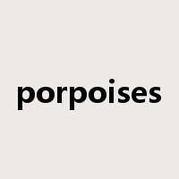 porpoises是什么意思