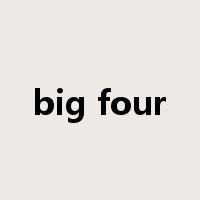 big four是什么意思