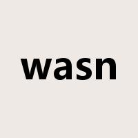 wasn是什么意思