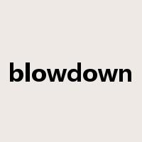 blowdown是什么意思