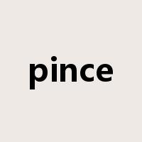 pince是什么意思