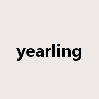 yearling是什么意思