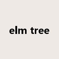 elm tree是什么意思