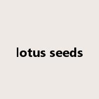 lotus seeds是什么意思
