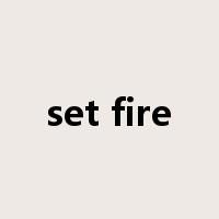 set fire是什么意思