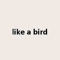 like a bird是什么意思