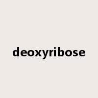 deoxyribose是什么意思