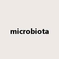microbiota是什么意思