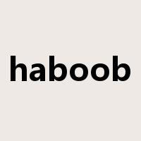 haboob是什么意思