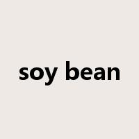 soy bean是什么意思