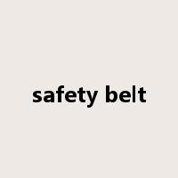 safety belt是什么意思