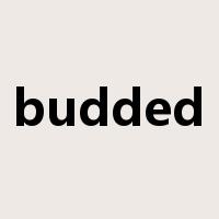 budded是什么意思