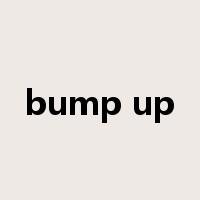 bump up是什么意思