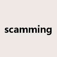scamming是什么意思