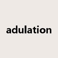 adulation是什么意思