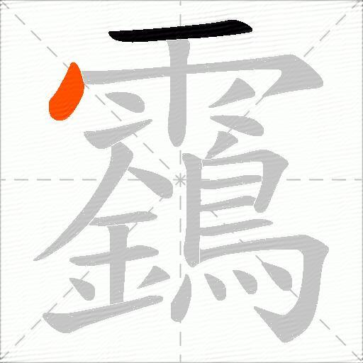靎