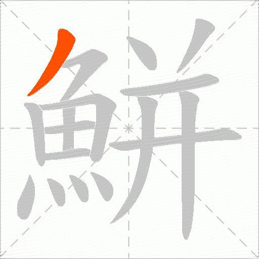 鮩