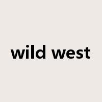 wild west是什么意思