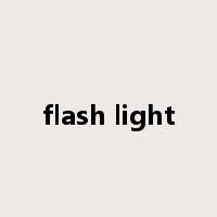 flash light是什么意思