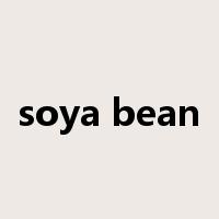 soya bean是什么意思