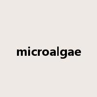 microalgae是什么意思