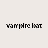 vampire bat是什么意思
