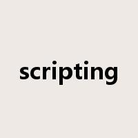 scripting是什么意思