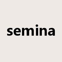 semina是什么意思