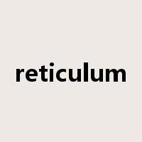 reticulum是什么意思