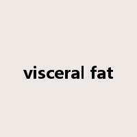 visceral fat是什么意思