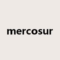 mercosur是什么意思