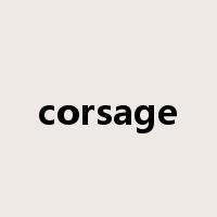 corsage是什么意思