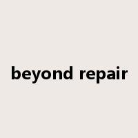 beyond repair是什么意思