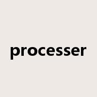 processer是什么意思
