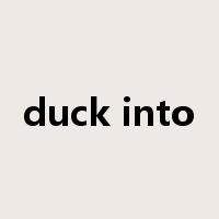 duck into是什么意思