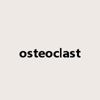 osteoclast是什么意思