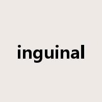 inguinal是什么意思