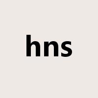 hns是什么意思