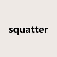 squatter是什么意思