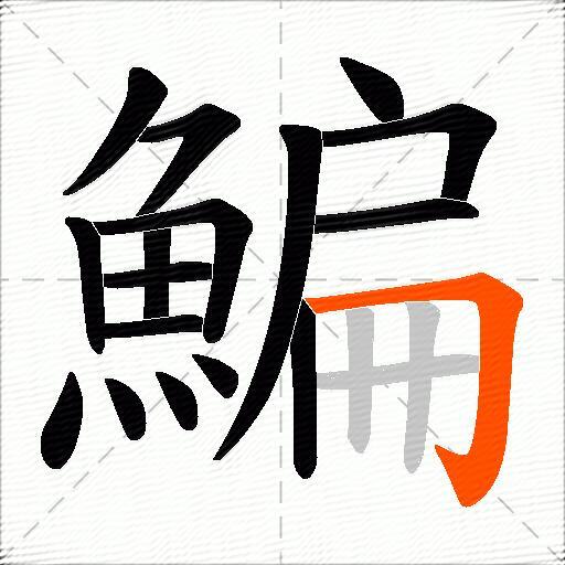 鯿