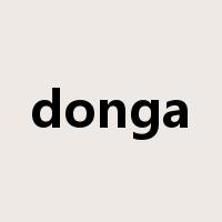 donga是什么意思