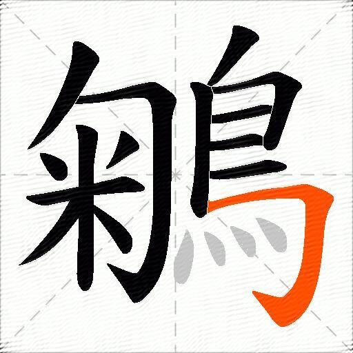 鵴