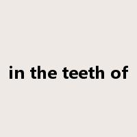 in the teeth of是什么意思